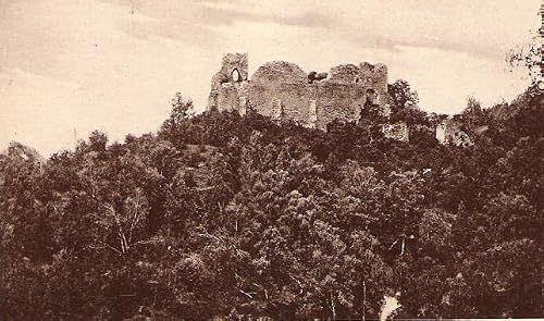 Cetatea Neamtului
