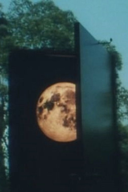 The Moon