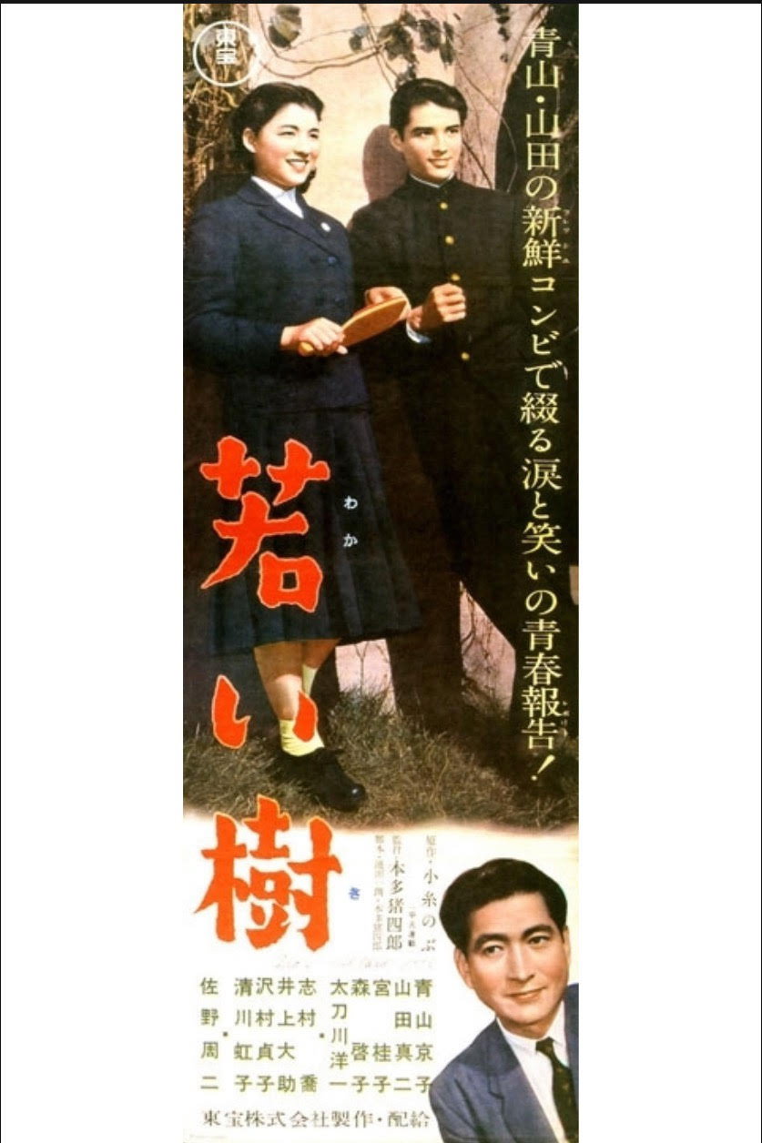 Wakai ki