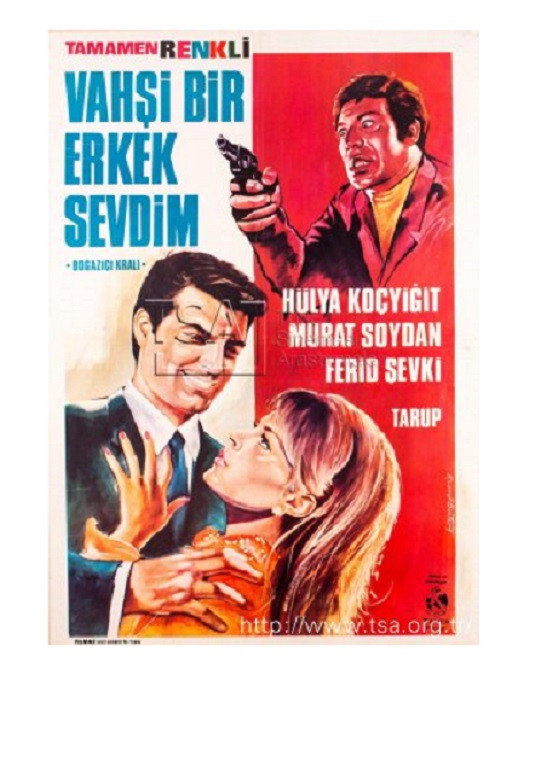 Vahsi bir erkek sevdim