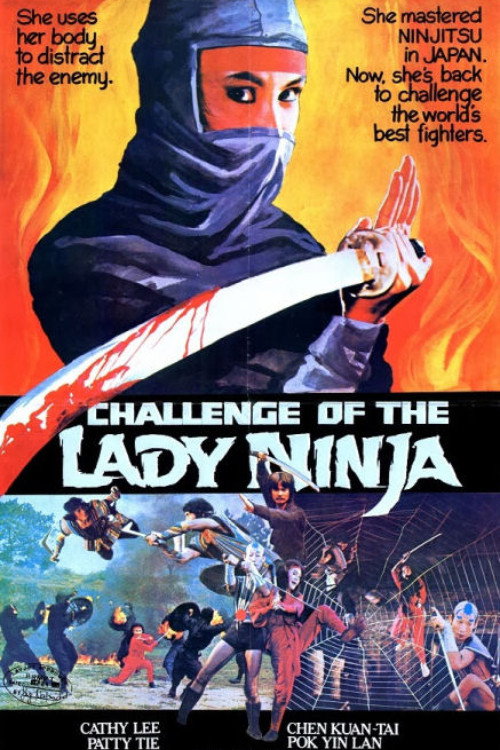 Geheimkommando D·E·A·T·H - Lady Ninja