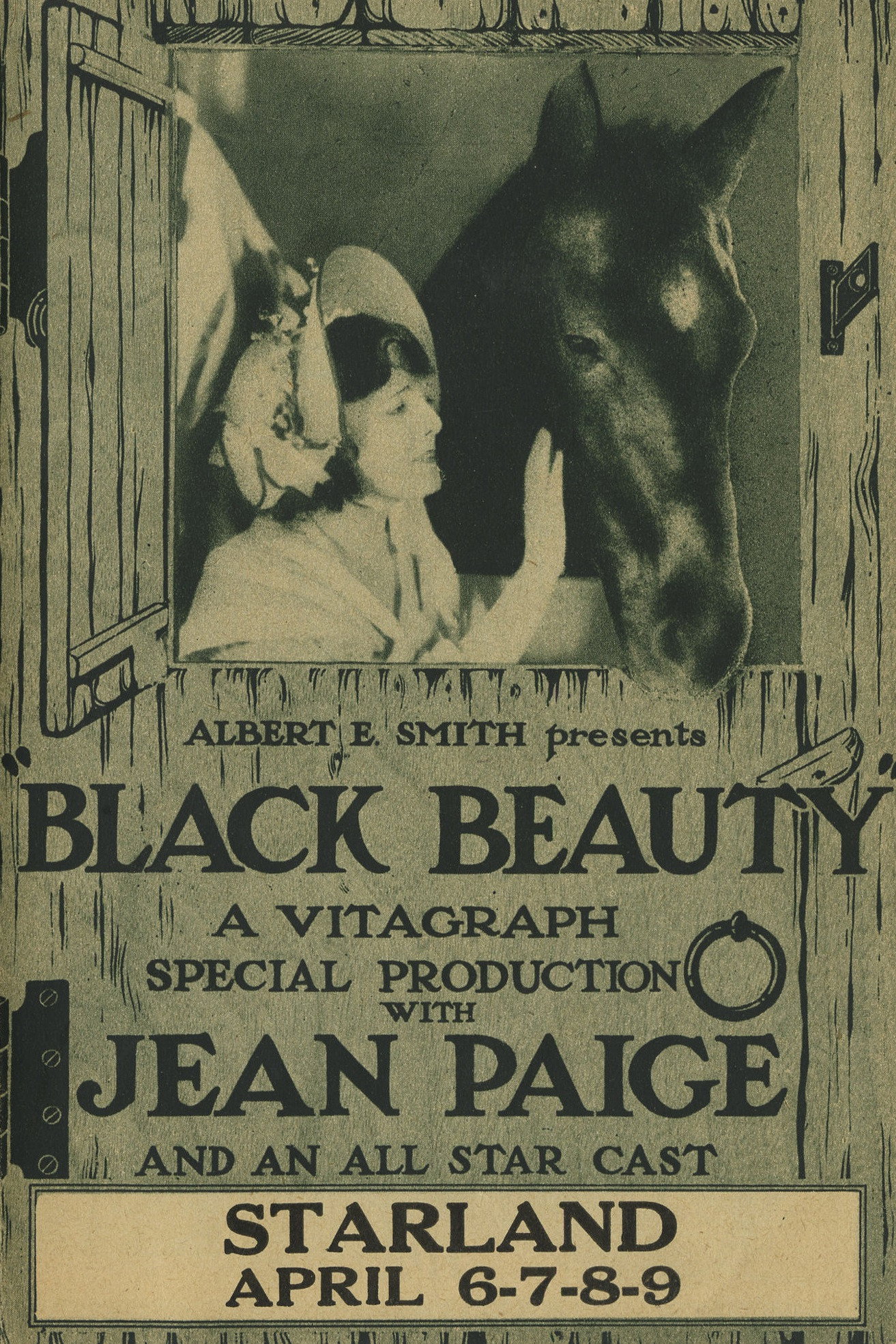 Black Beauty