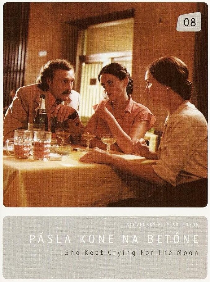 Pásla kone na betóne