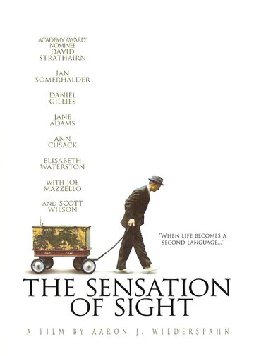 The Sensation of Sight