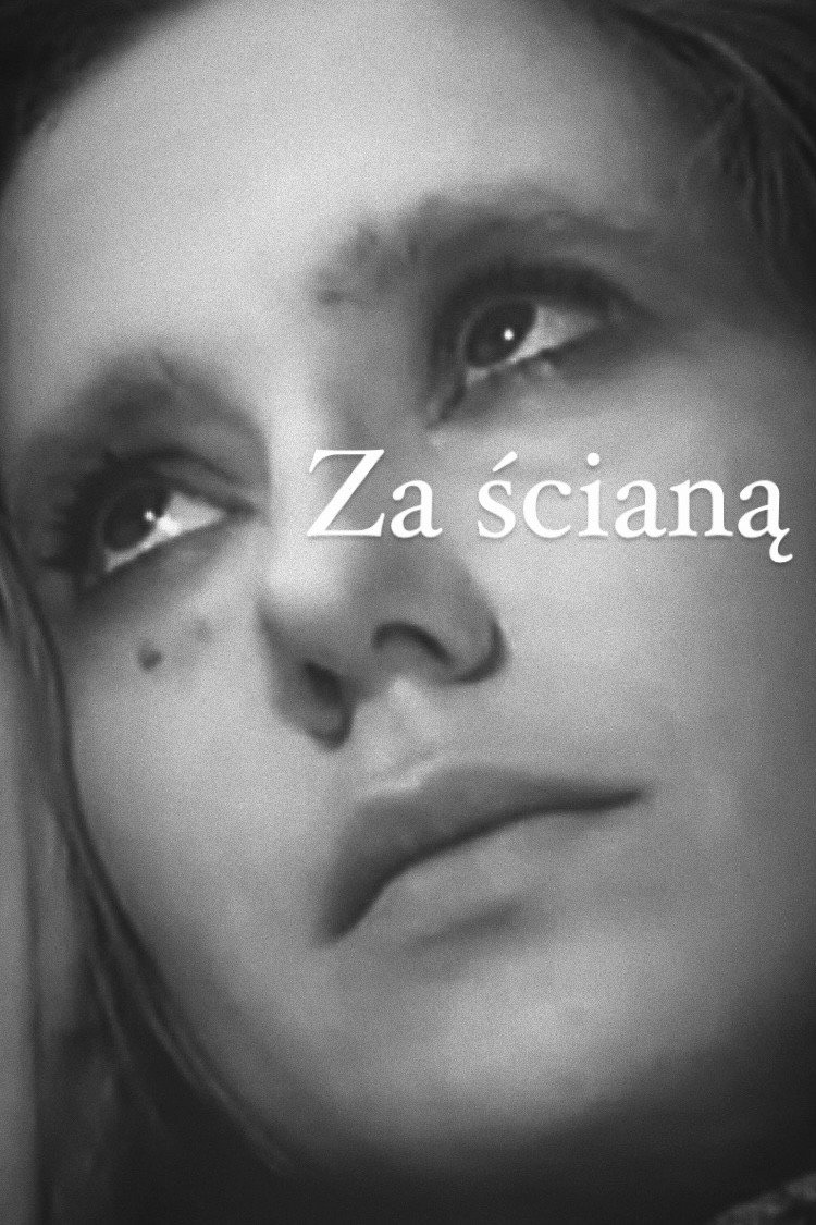 За стеной