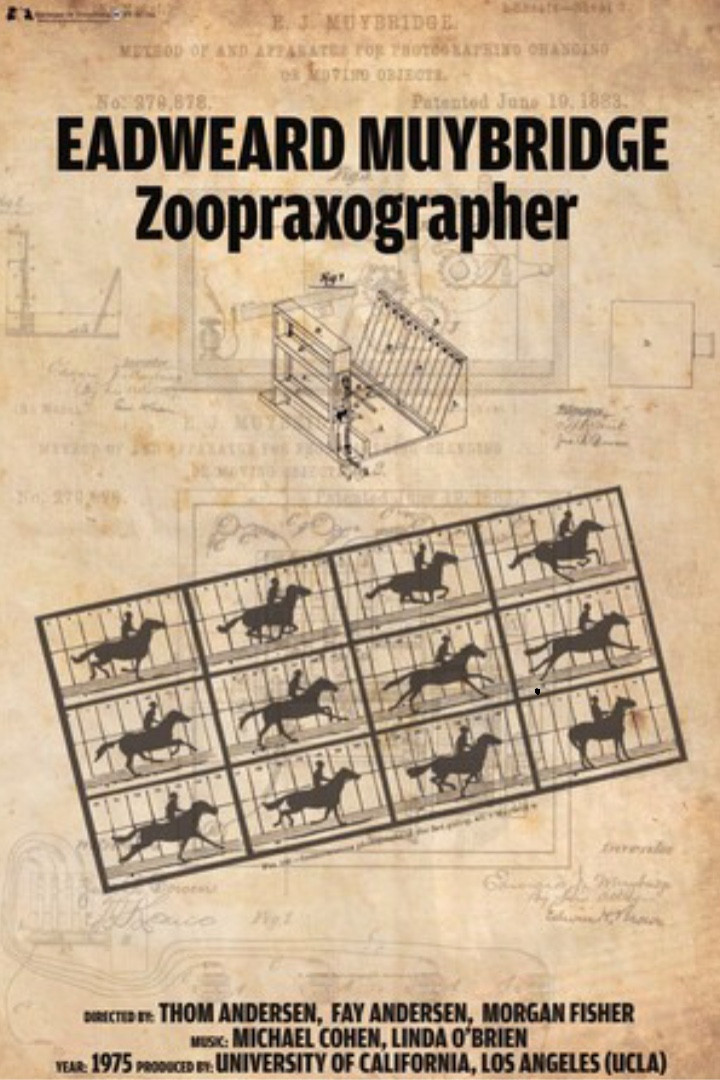 Eadweard Muybridge, Zoopraxographer