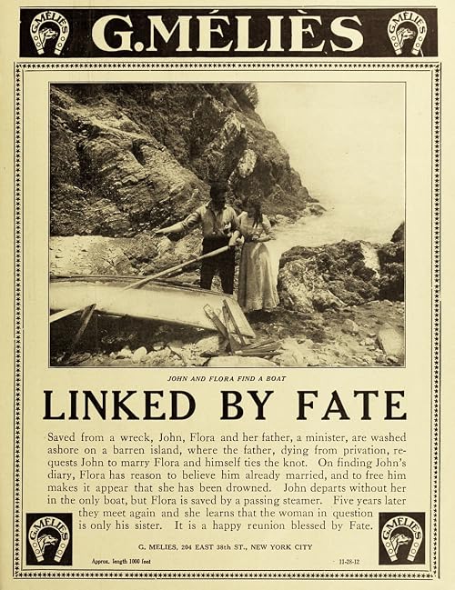 Linked by Fate