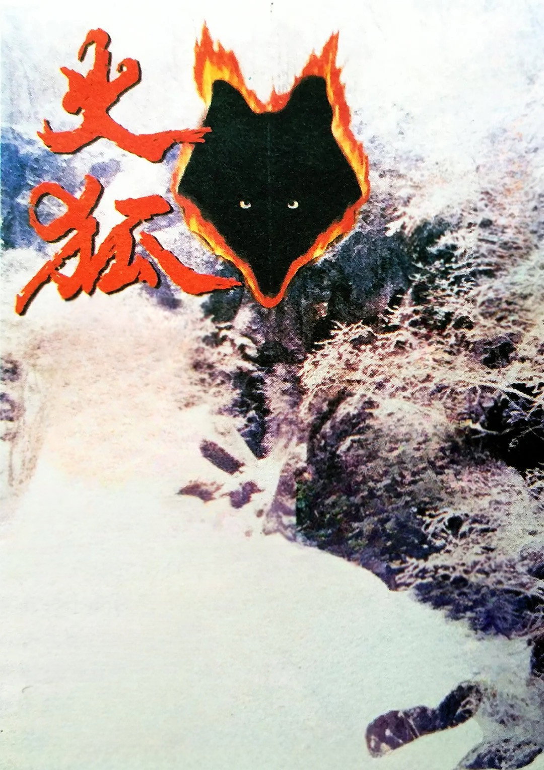 Der Rotfuchs