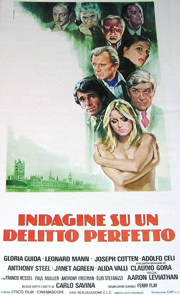 Indagine su un delitto perfetto
