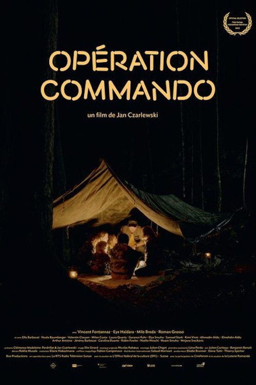 Операция «Коммандос»