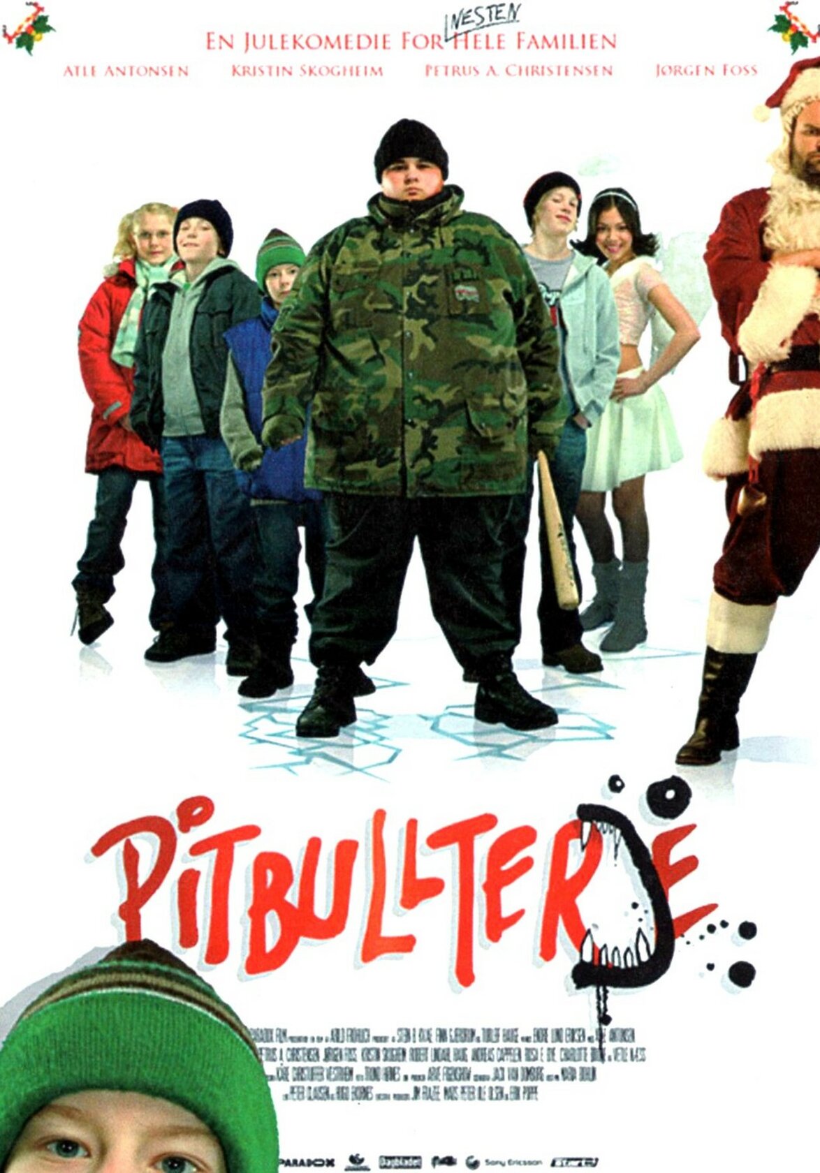 Pitbullterje
