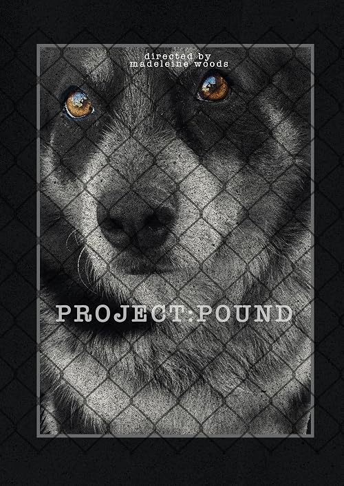 Project: Pound