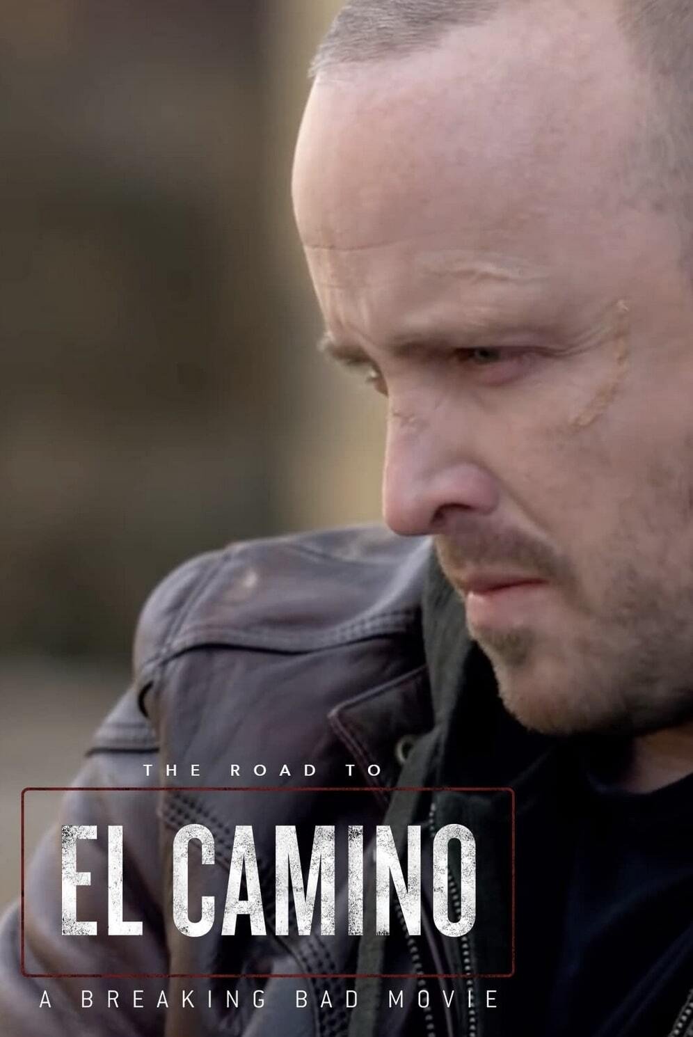 The Road to El Camino: A Breaking Bad Movie