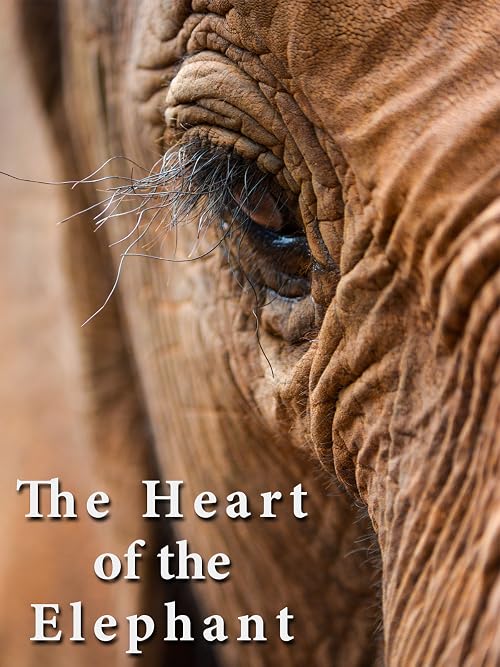 The Heart of the Elephant