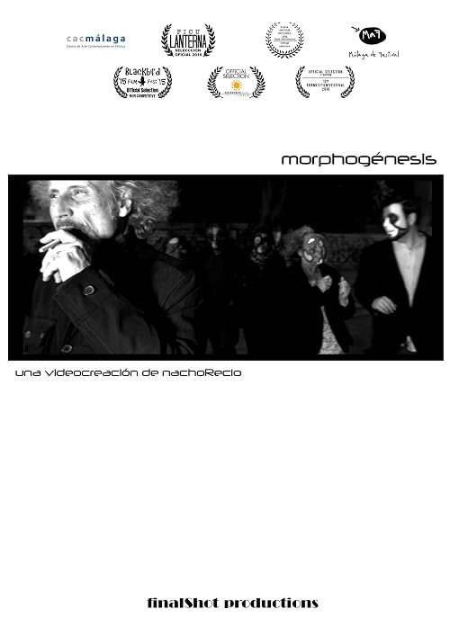 Morphogénesis