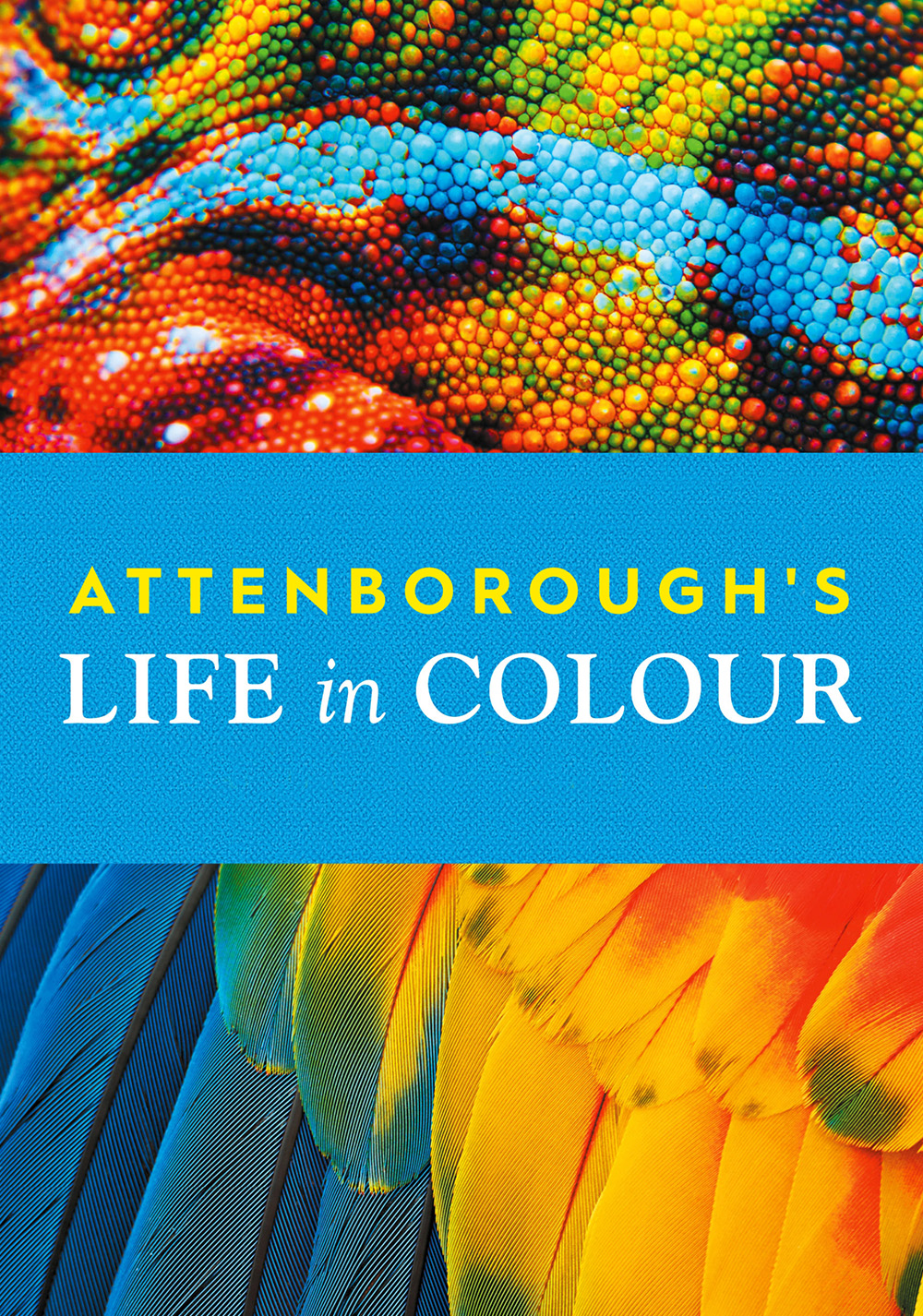 Life in Colour