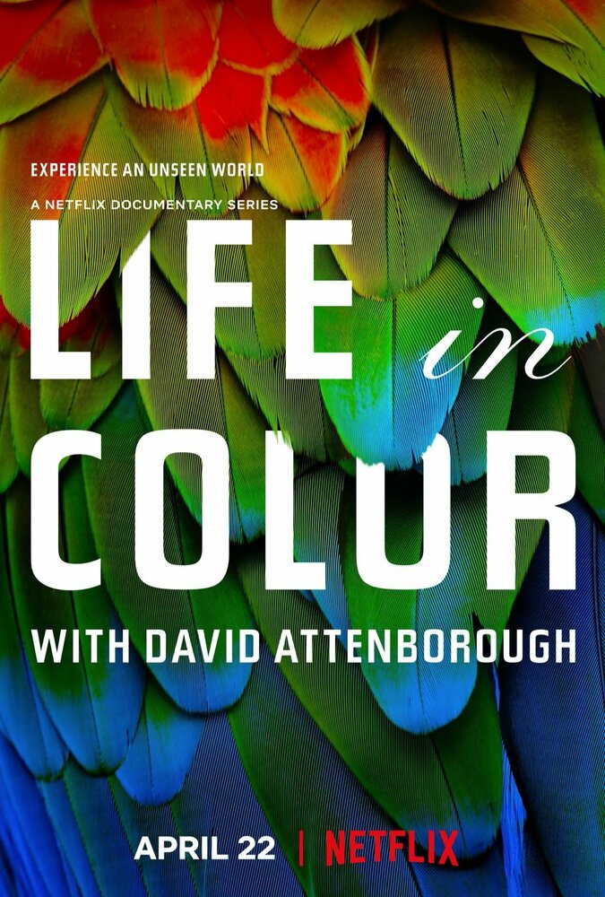 La vida a todo color, con David Attenborough