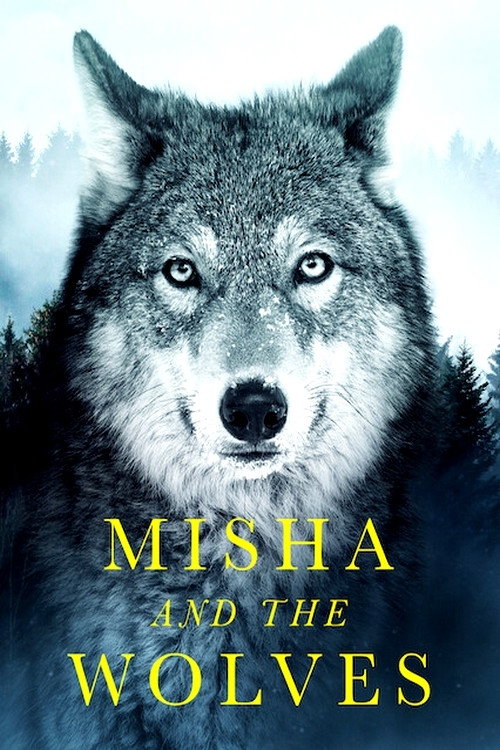 Misha und die Wölfe