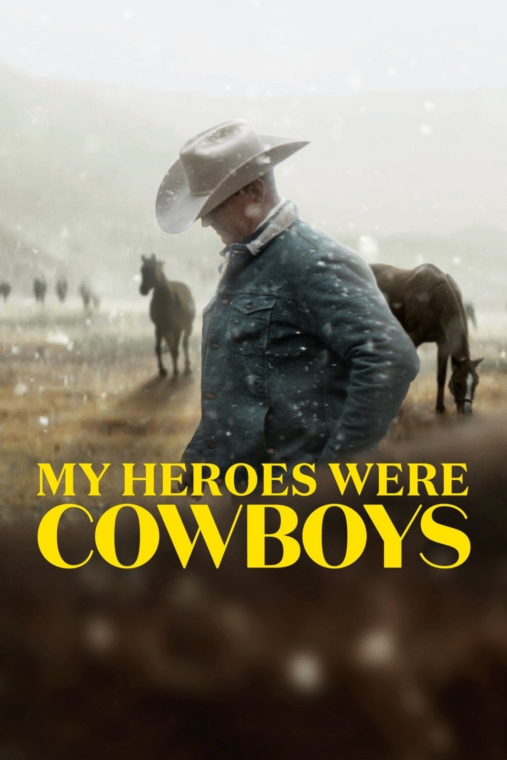 Meine Helden waren Cowboys