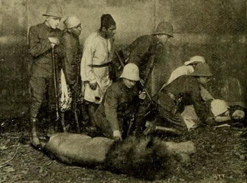 The Arab's Vengeance