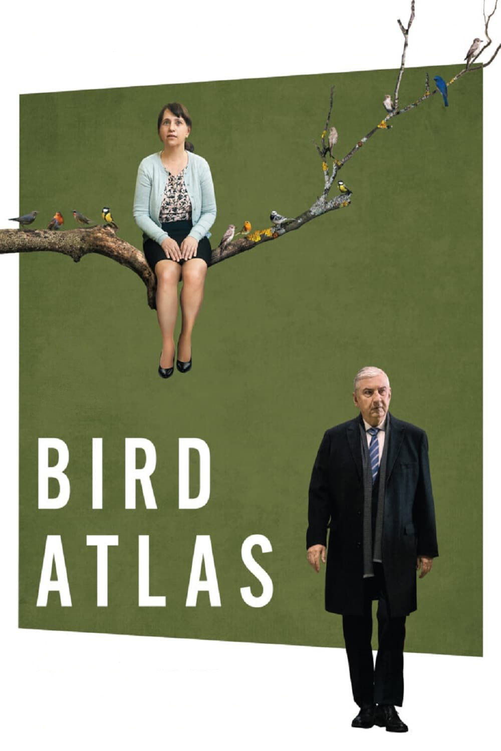 Atlas ptáku