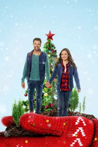 You, Me & the Christmas Trees