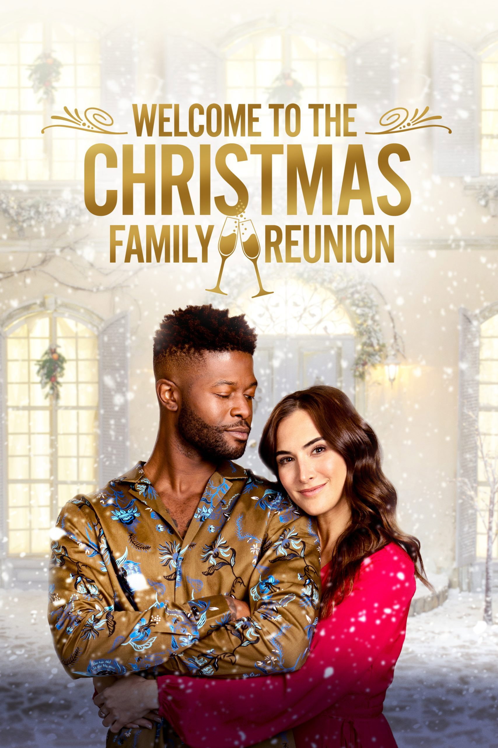 A Christmas Family Reunion