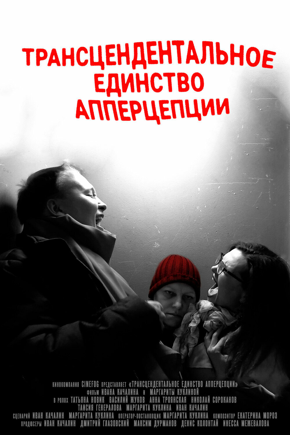 Transcendental Unity of Apperception
