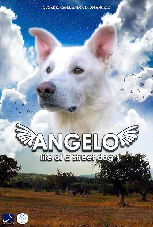 Angelo: Life of a Street Dog