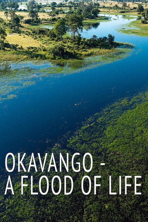 Okavango – Quelle des Lebens