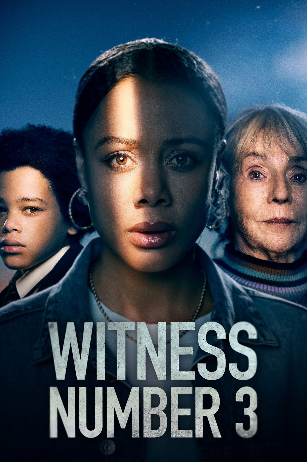 Witness No. 3