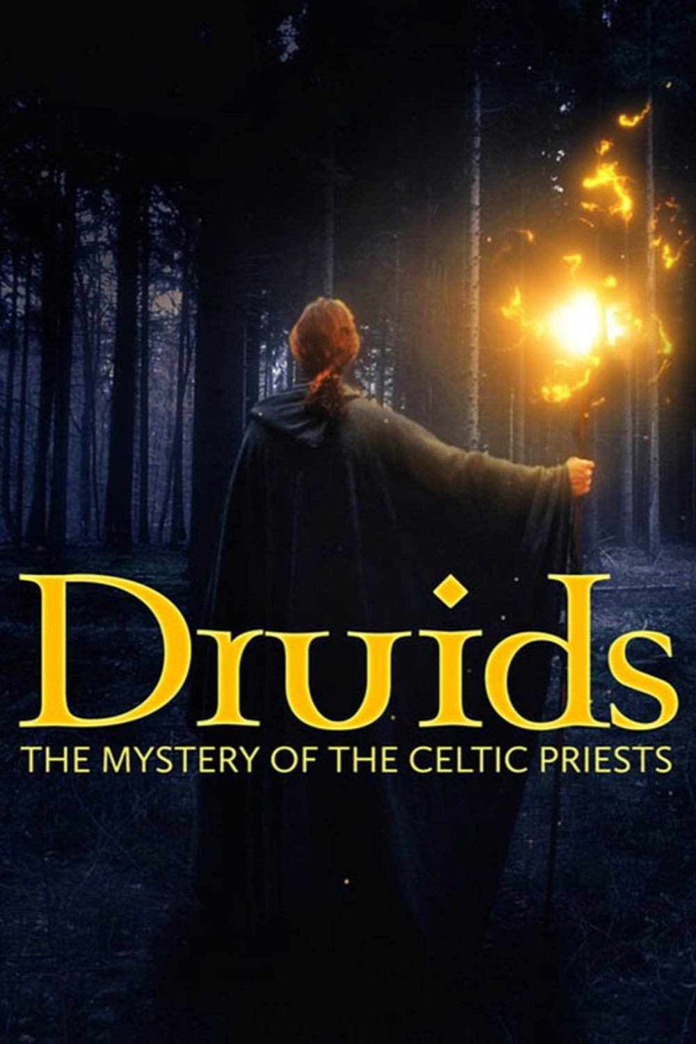 Die Druiden: Mächtige Priester der Kelten