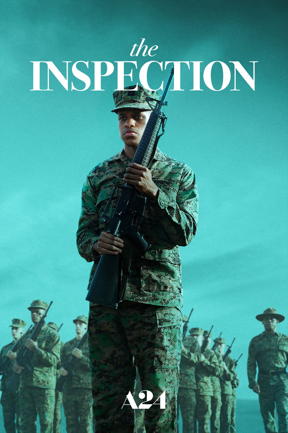 The Inspection