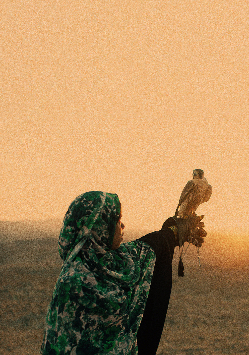 The Falconer