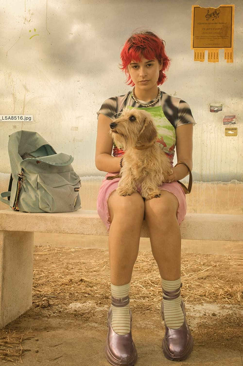 ריינבו