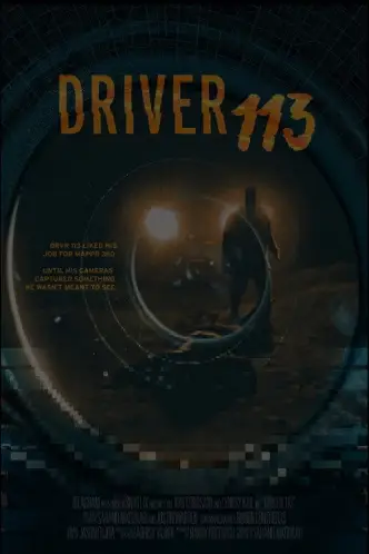 Driver 113