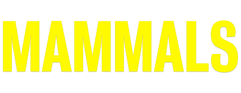 Млекопитающие