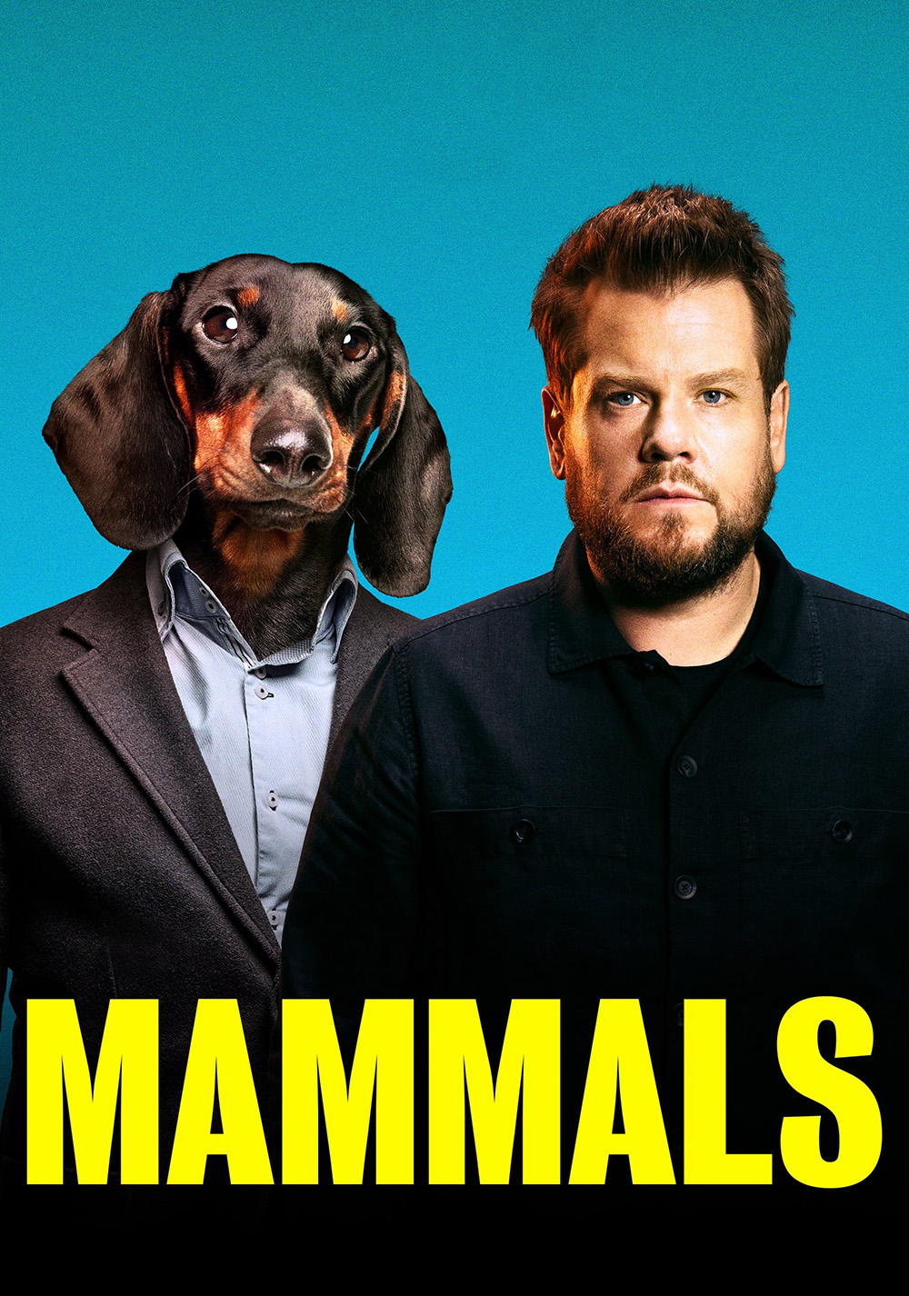 Mammals