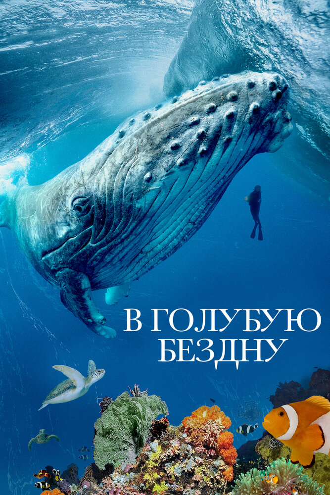 Into the Big Blue Heart: Ocean Currents