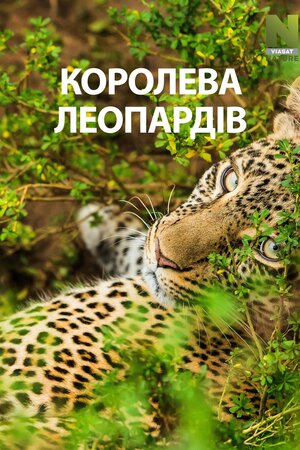 Die Leopardin
