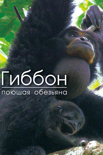 Гиббон – поющая обезьяна