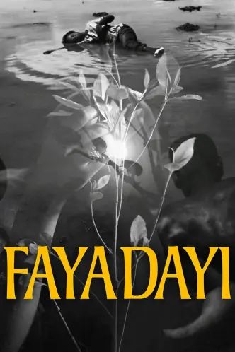 Faya Dayi