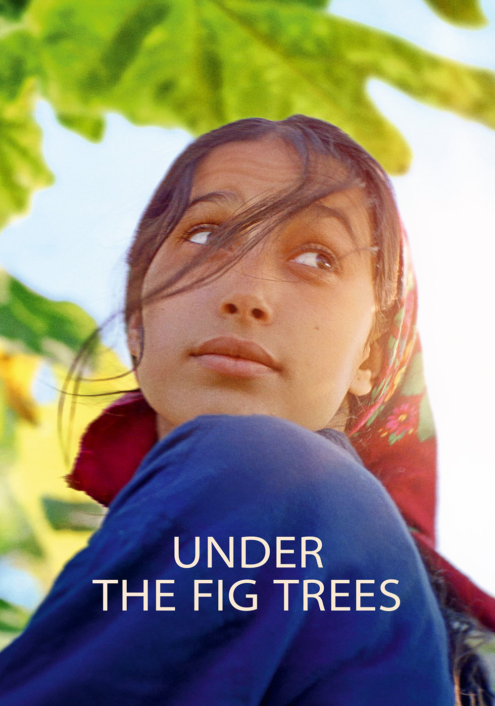 Under the Fig Trees
