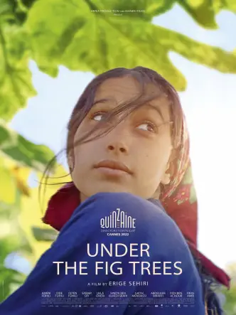 Under the fig trees