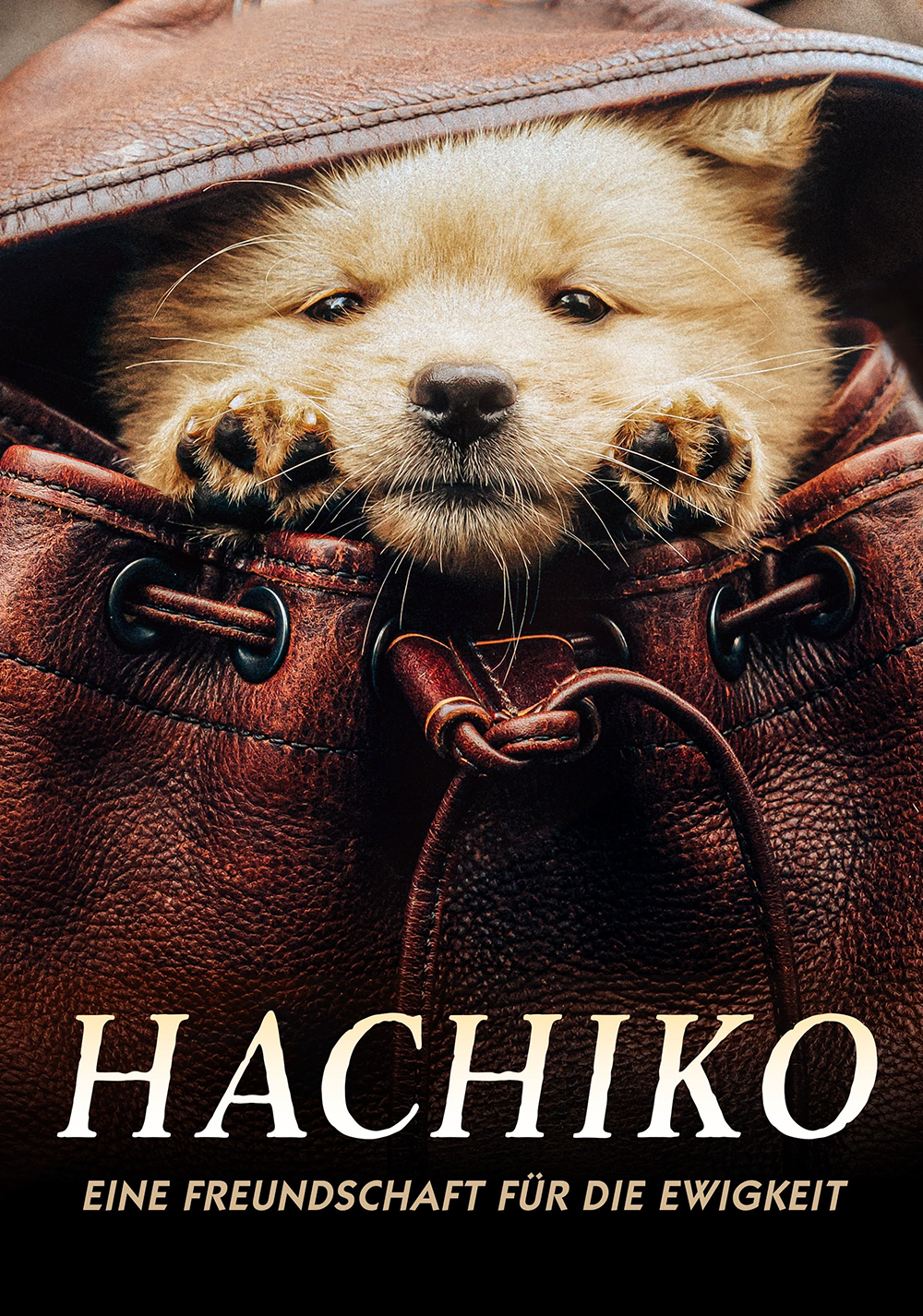 Hachiko - Eine Freundschaft für die Ewigkeit