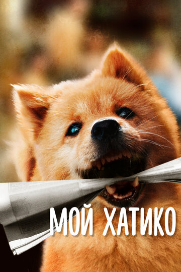 Hachiko - Eine Freundschaft für die Ewigkeit