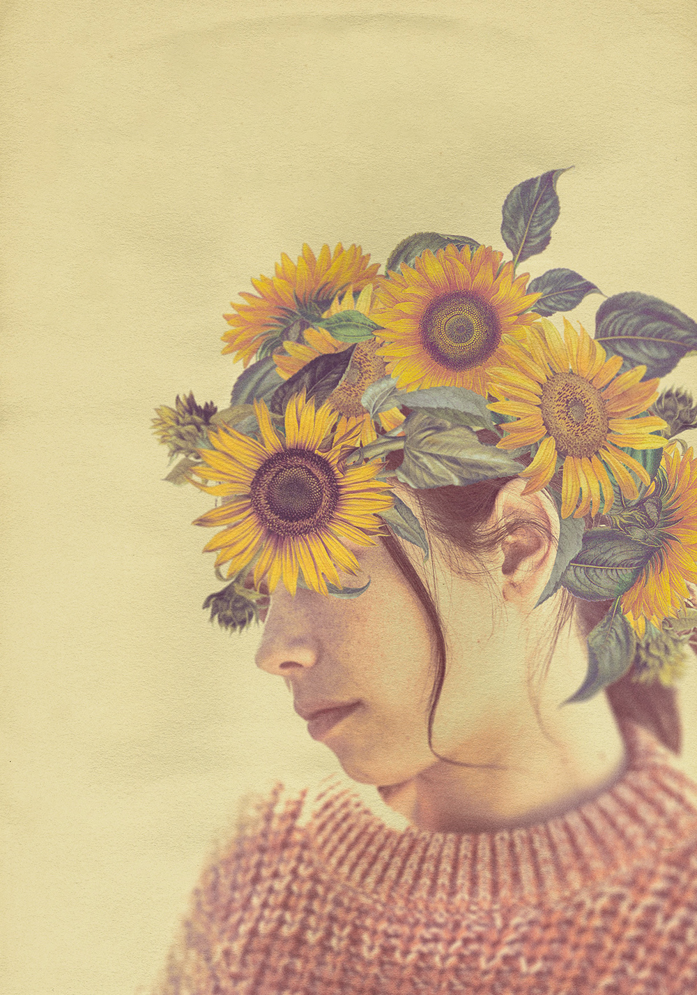 Wild Flowers