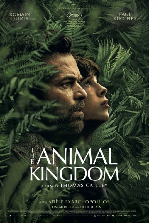 Animalia