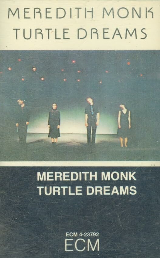 Turtle Dreams