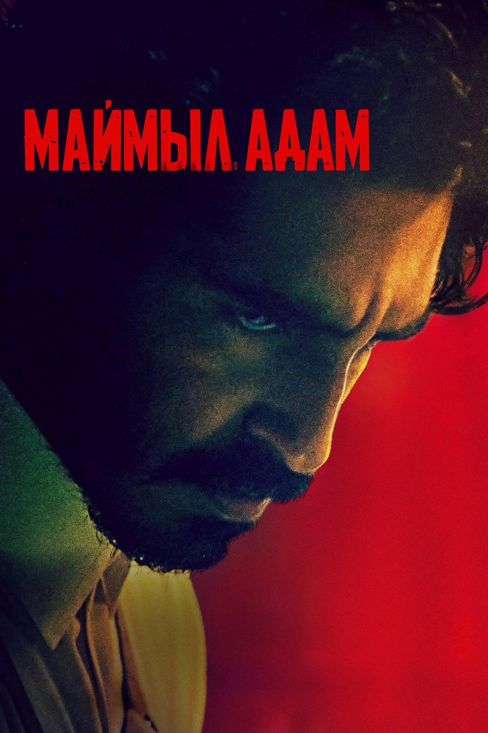 Маймыл Адам